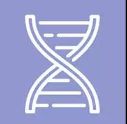 1514275957117287.jpg 12.jpg