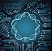 1514275993137404.jpg 14.jpg